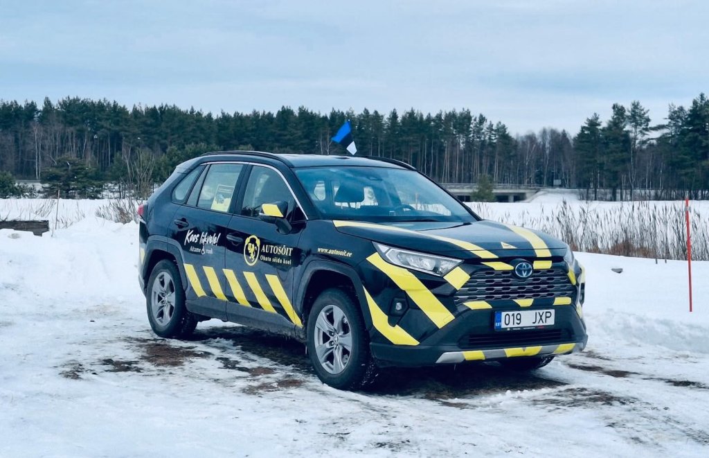 Eesti lipuvärvides pidulik kujundus vabariigi aastapäevaks